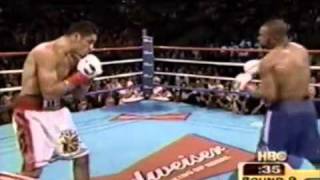 Roy Jones Jr vs Julio Caesar Gonzalez  34 [upl. by Weinert]