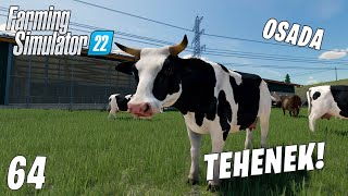 Farming Simulator 22 LIVE 64  Tehenek Osada 23 [upl. by Gladi44]