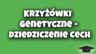 Krzyżówki Genetyczne  Dziedziczenie Cech  Biologia klasa 8 [upl. by Zackariah980]