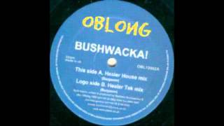 Bushwacka  Healer Tek Mix Oblong 1999 [upl. by Ahsinoj]