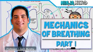 Respiratory  Mechanics of Breathing Pressure Changes  Part 1 [upl. by Batista]