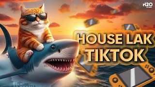 HOUSE LAK TIKTOK 4🎧NHẠC REMIX TIKTOK 2024🎧MIXTAPE DEEP HOUSE VIET DEEP HOUSE LAK [upl. by Gut]