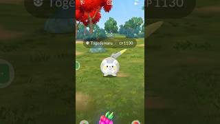 See how I Catch a Togedemaru in Pokemon go pokemongo pokemon [upl. by Rhodia979]