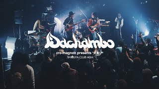 DACHAMBO Live  渋谷 club asia【大集ひ】 [upl. by Nahamas]