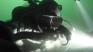 Tiller Wreck in Port Dalhousie Ontario Diving [upl. by Andrien]