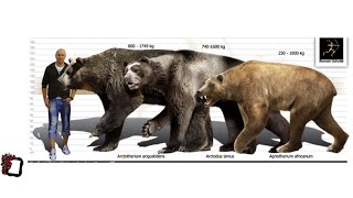 Arctotherium angustidens Arctodus simus and Agriotherium africanum size comparison [upl. by Llirret482]