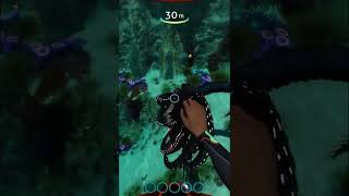 Baby Gargantuan Leviathan subnautica subnauticabelowzero shorts [upl. by Herzel528]