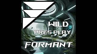 Formant  Wild Original Mix [upl. by Cynth]