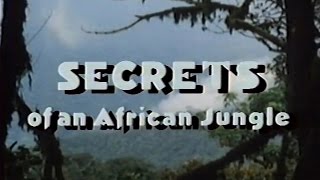 Secrets of an African Jungle 1986 [upl. by Clementius809]