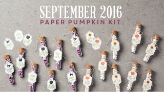 Paper Pumpkin September 2016 [upl. by Otrebire]