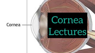 Cornea lectures part 2 Eye lectures  opthalmology lectures eyelectures cornea jatolectures eye [upl. by Ahsienad]