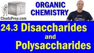 243 Disaccharides and Polysaccharides  Organic Chemistry [upl. by Anitel]