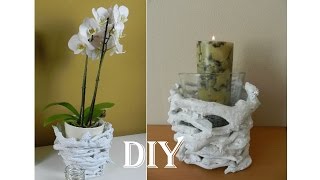 DIYDekoration aus Holzästen  super easy branch vase [upl. by Seuguh767]