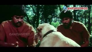 Rakshasudu Movie Parts 610 Chiranjeevi Radha Suhasini   Ganesh Videos [upl. by Alurta]