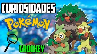 Curiosidades Pokémon  Tudo sobre Grookey [upl. by Adelind]