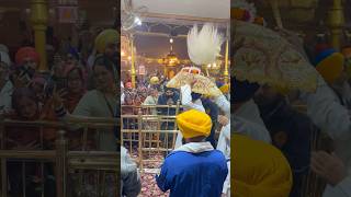 ♥️Waheguru ji♥️amritsar amritvela gurunankdrabar gurunanakdevji sewa explore ytshorts [upl. by Rapp]