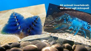 LE SUPERSINTESI DI SCIENZE Gli animali invertebrati  dai vermi agli Artropodi classe prima [upl. by Richarda]