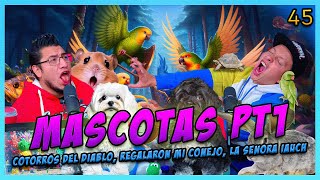 LA PENSIÓN 45  MASCOTAS PT1  Pájaros y Hamsters Acz1nos Regalaron mis animales Peces del Crew [upl. by Enitsirhk]