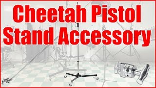 Cheetah Pistol Stand Accessory [upl. by Maunsell]