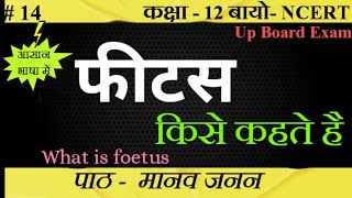 फीटस क्या होता है। Foetus kya hai। upboard class12 ncert SudheerSirJi [upl. by Nykal]