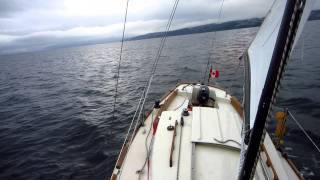 Alberg Seasprite 23 Cowichan Bay 2 [upl. by Anihpesoj]