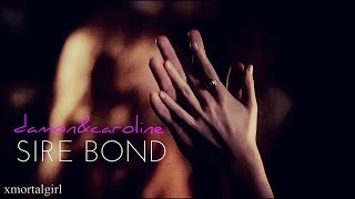 Damon and Caroline  sire bond [upl. by Endaira]