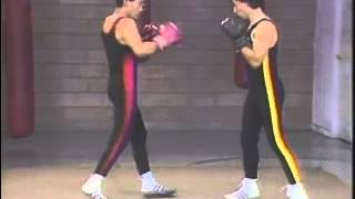 Mastering Savate 2  Fundamental Techniques [upl. by Ennalorac]