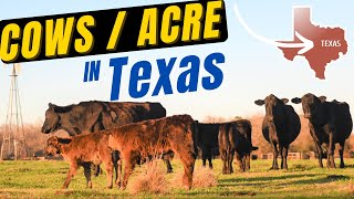 How Many Cows Per Acre in Texas Carrying Capacities and Stocking Rates Explained [upl. by Carn]