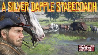 You Can Collect Albert Mason’s Silver Dapple Pinto Missouri Foxtrotter in 4K Red Dead Redemption 2 [upl. by Aryek941]