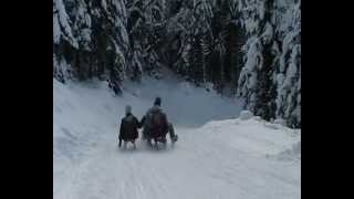 Rodeln Karkogel Abtenau Sledding Rodelen op de Karkogel Winterrodeln Rodelabfahrt funny [upl. by Anitsugua884]