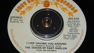 Voices Of East Harlem  I Like Having You Around [upl. by Ambros]