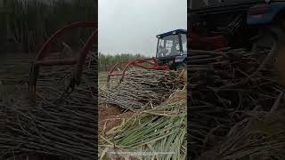 Use A Tractor Equipped With A Clamping Device To Collect And Load Sugarcane Easily [upl. by Eleumas529]