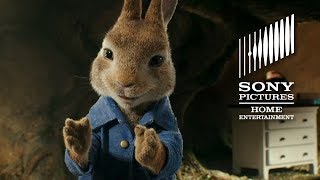 PETER RABBIT – On Bluray Combo Pack amp Digital [upl. by Niltyak]