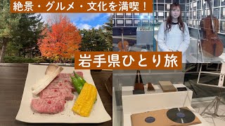 Vlog〈フルート奏者の休日〉岩手県ひとり旅フルートで奏でる 山口百恵「秋桜」・宮沢賢治「星めぐりの歌」 [upl. by Norbert]