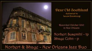 Dear Old Southland  Norbert and Shaye  New Orleans Jazz Duet [upl. by Klina]