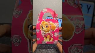 Skye Paw Patrol Mystery Box pawpatrol surprise asmrtoys unboxingtoys toys cutetoys [upl. by Lamont]