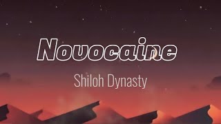 Shiloh Dynasty Novocaine  lyrics sped up [upl. by Lorette952]