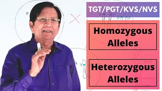 Homozygous amp Heterozygous Alleles  TGTPGTKVSNVS [upl. by Venditti717]