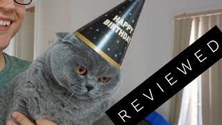 Basil the British Shorthair Cat Review after 3 years [upl. by Sutniuq]