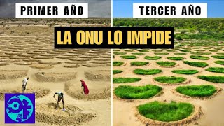 La ONU Frena El Avance Del Desierto Del Sahara  Curiositeam [upl. by Ahsemed125]