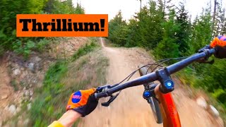 Yacolt Burn State Forest MTB Trails [upl. by Ocimad]