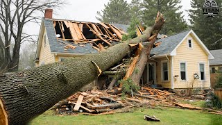 Dangerous Fastest Idiots Cutting Tree Fails Skill With Chainsaw  Tree Falling on Houses 1 [upl. by Stortz]