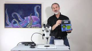 Adding fluorescence to a conventional stereo microscope [upl. by Gemina]