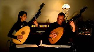 Johann Sebastian Bach Sinfonia BWV 29 wwwluteduocom [upl. by Ihel]