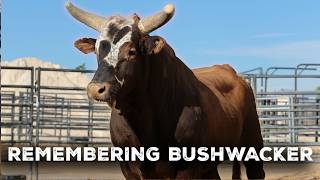 Remembering Bushwacker [upl. by Urina]