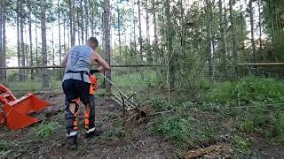 Kubota BX23s vs Tree shrub quick time SLASH AND BURN [upl. by Ellis]