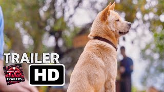 HACHIKO 2 Tráiler Español Latino [upl. by Zabrine786]