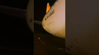 Incident Azimuth SU95 at Pskov on Nov 1st 2021 deer strike [upl. by Nirraj238]