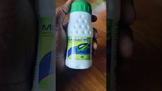 Insect ka best solution short shorts insects farming agriculture agricultureshorts viralshort [upl. by Okier527]