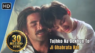 Tujhko Na Dekhun To Ji Ghabrata Hai  Jaanwar 1999  Akshay Kumar  Udit Narayan Hit Songs [upl. by Courtney]